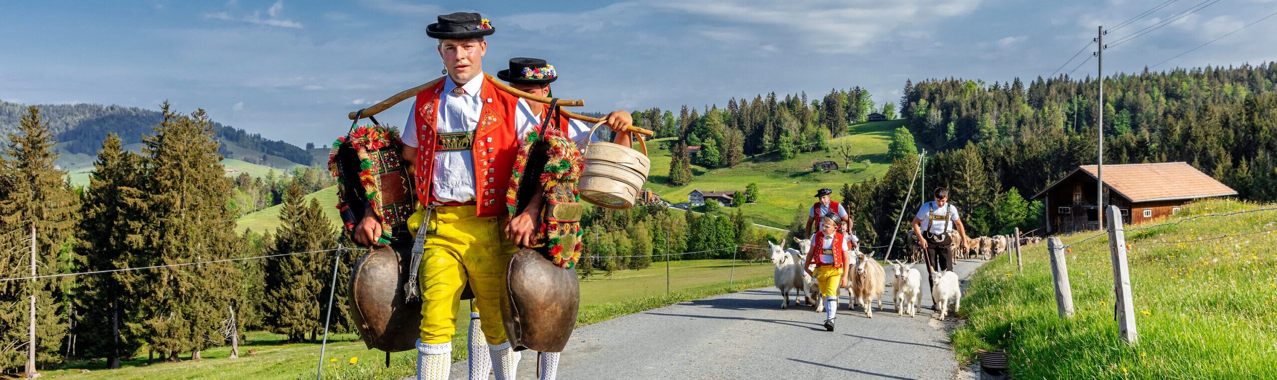 Appenzell herdsmen with goats during alpine ascent